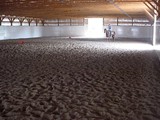 INDOOR ARENA